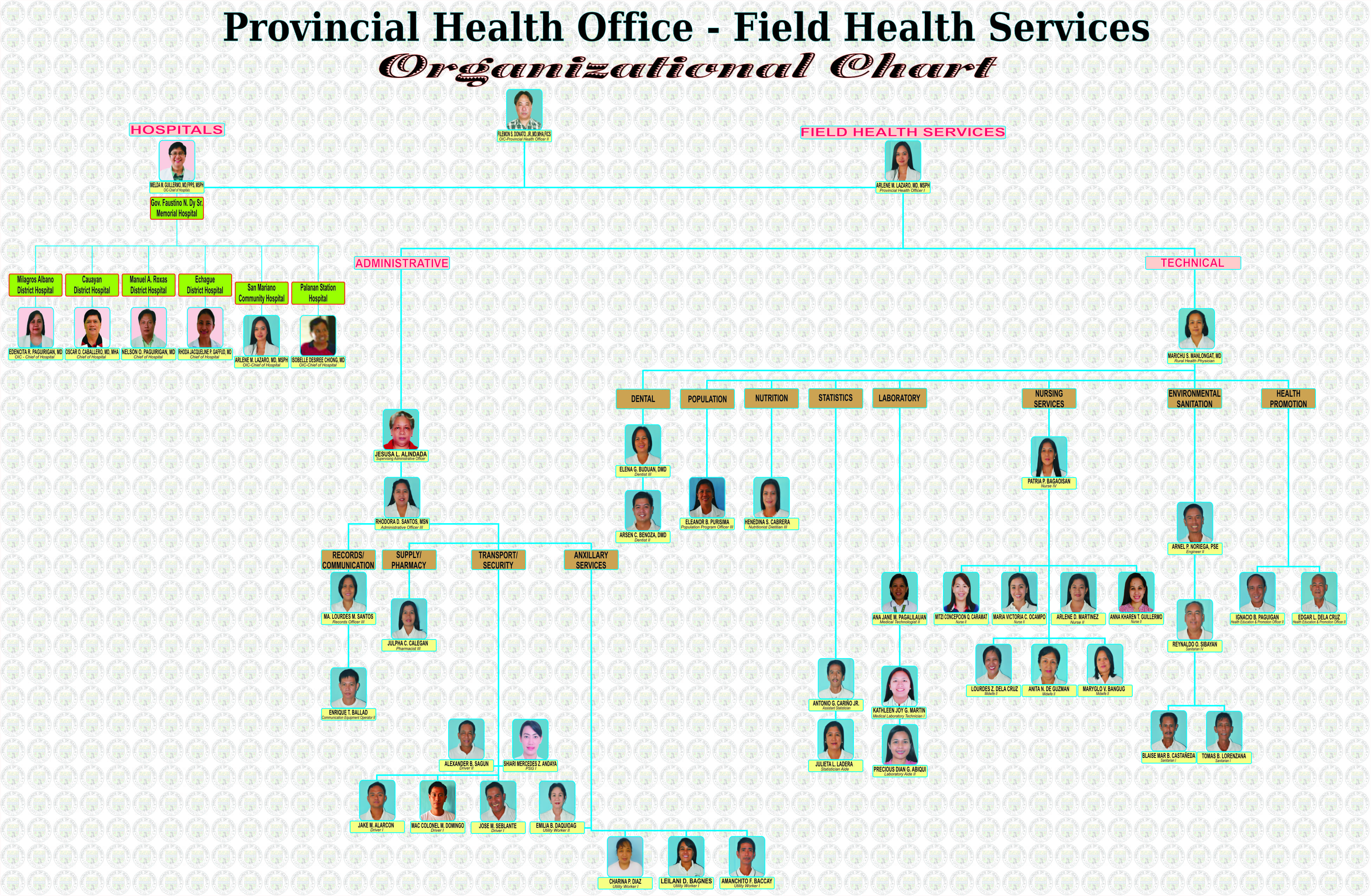 Rural Hospital Organizational Chart